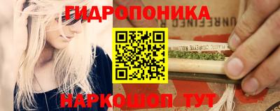 прущие грибы Бузулук
