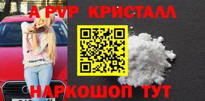 стафф Будённовск