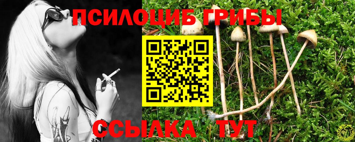 Псилоцибиновые грибы Psilocybe  Галлюциногенные грибы Magic Shrooms  Таганрог  Вход с VPN 