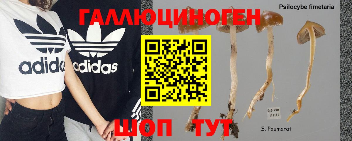 Псилоцибиновые грибы прущие грибы Таганрог